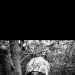 Michael's profile picture