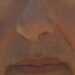 Steve's profile picture