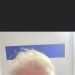 Reilly's profile picture