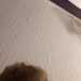 Mary's profile picture