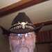 William's profile picture