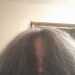 Teena's profile picture