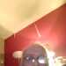 Peter's profile picture