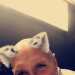 Mark's profile picture