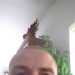 IplzU's profile picture