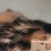 Jess's profile picture