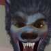 Shahveer3's profile picture