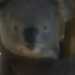 JOHNNHOJ's profile picture