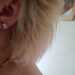 Lesley's profile picture