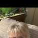 Lorna's profile picture