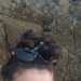 Noha's profile picture