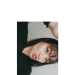 Dominique's profile picture