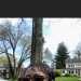 Ms_Gee1957's profile picture