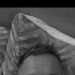 Lee's profile picture