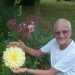 David's profile picture