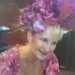 Maureen's profile picture