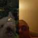 Darrel's profile picture