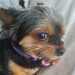 Annmarie's profile picture