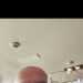 Ian's profile picture