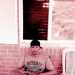 92RUready's profile picture