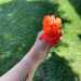 Cheyann's profile picture