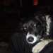 Zak's profile picture