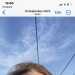 Lorraine's profile picture