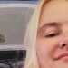 Mary's profile picture