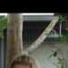 Sharon's profile picture