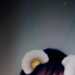 Shirley's profile picture