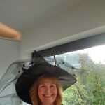 Anne's profile picture