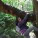 willowtree100's profile picture