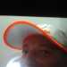 Andy's profile picture