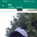 Musa's profile picture