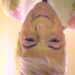 Lily's profile picture