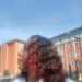 Dayenne's profile picture