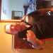 eagle12345's profile picture