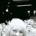 Rose's profile picture