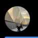Selina's profile picture
