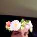 Gurl1971's profile picture