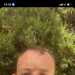 Daniel's profile picture