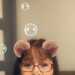 Alison's profile picture