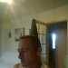 tess123456's profile picture