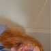 Alex's profile picture