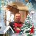 James's profile picture