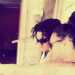 puawai's profile picture