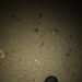Fergal's profile picture