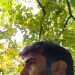 Orso's profile picture