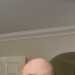 Jonathan's profile picture