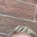 Catriona's profile picture